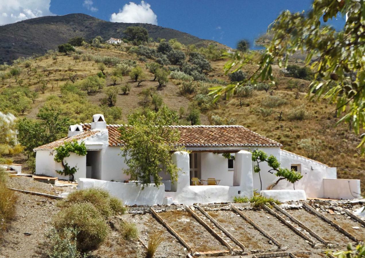 Apartments Cortijo La Zapatera Canillas de Aceituno Exterior foto